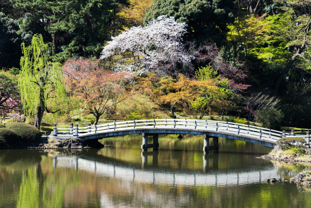 the top 8 best places to take pictures in Tokyo, Japan