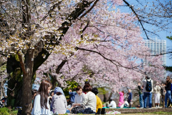 the top 8 best places to take pictures in Tokyo, Japan